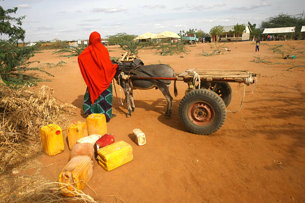 Dadaab