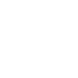 eCitizen Services